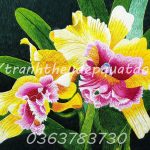 Tranh thêu tay hoa phong lan QĐ 05